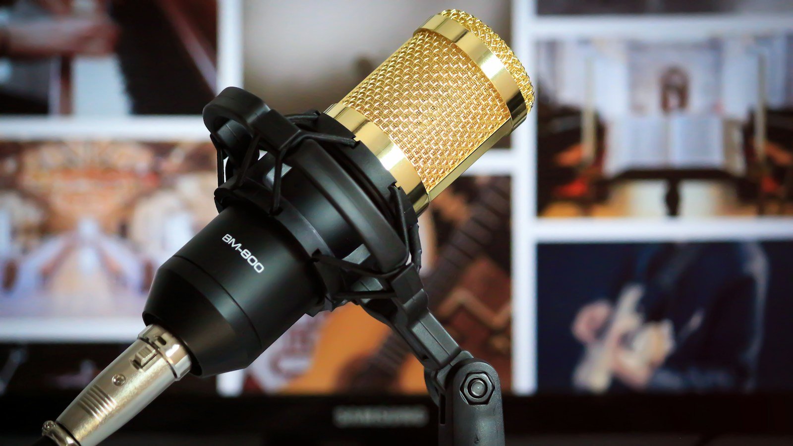 A dark condenser microphone for voice training.