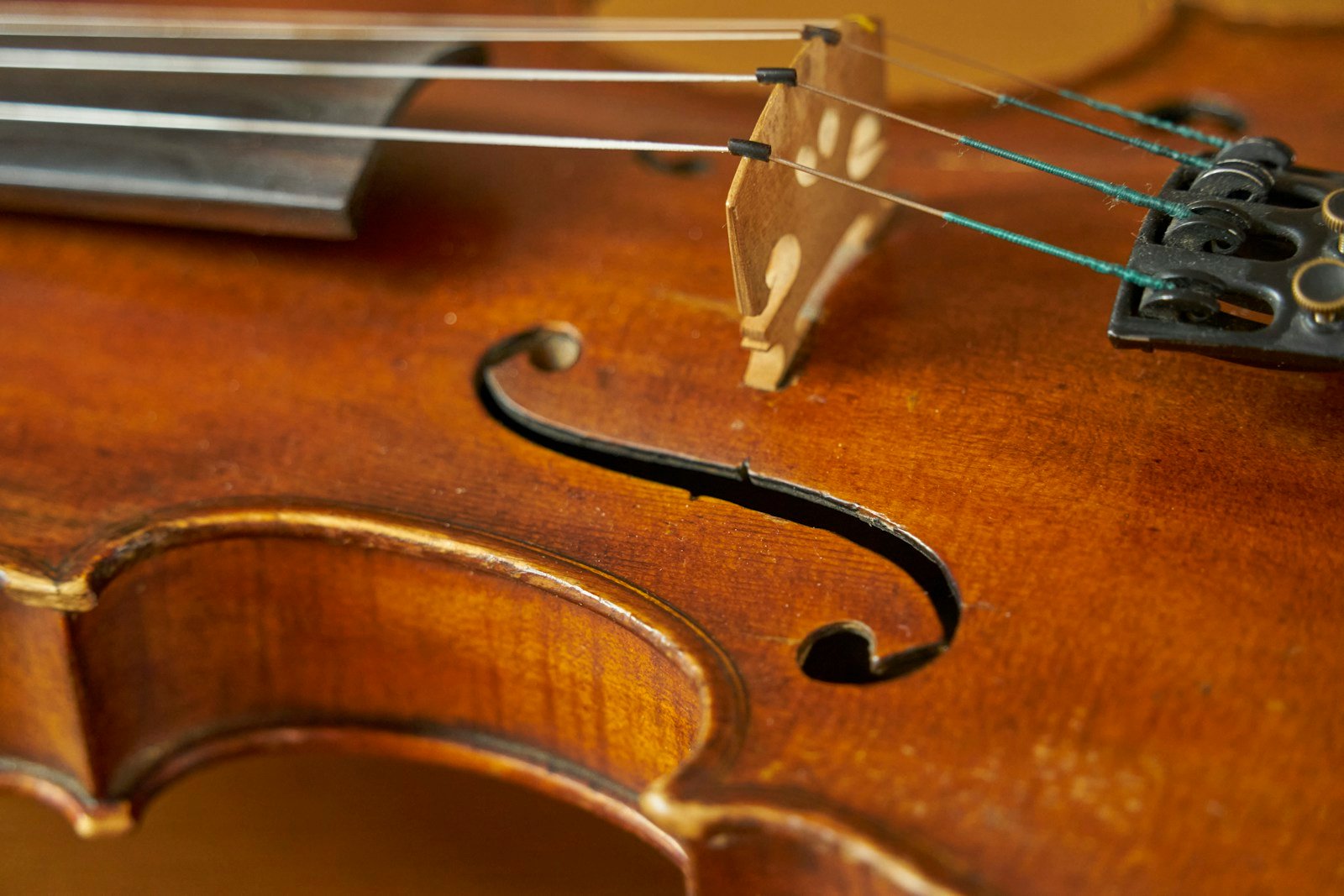 Close-up of the wood and strings of a violin.